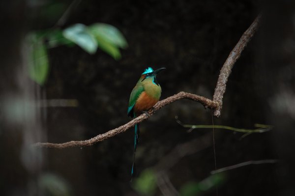les bienfaits du vélo en salle dans votre programme de fitness